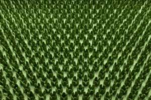 Tapis d'entrée 17CB, coloris brosses: gris